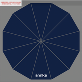 ANNKE Umbrella
